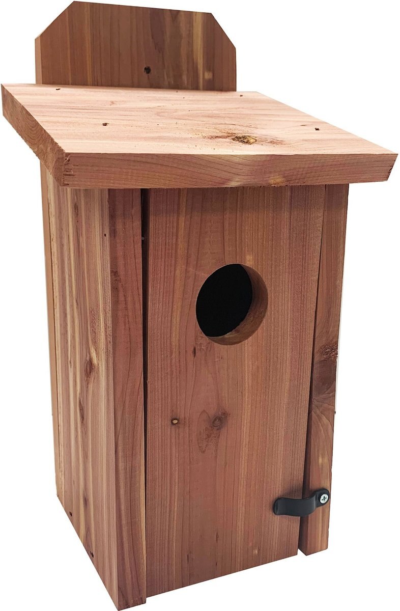 Red Carpet Studios Red Cedar Bird House