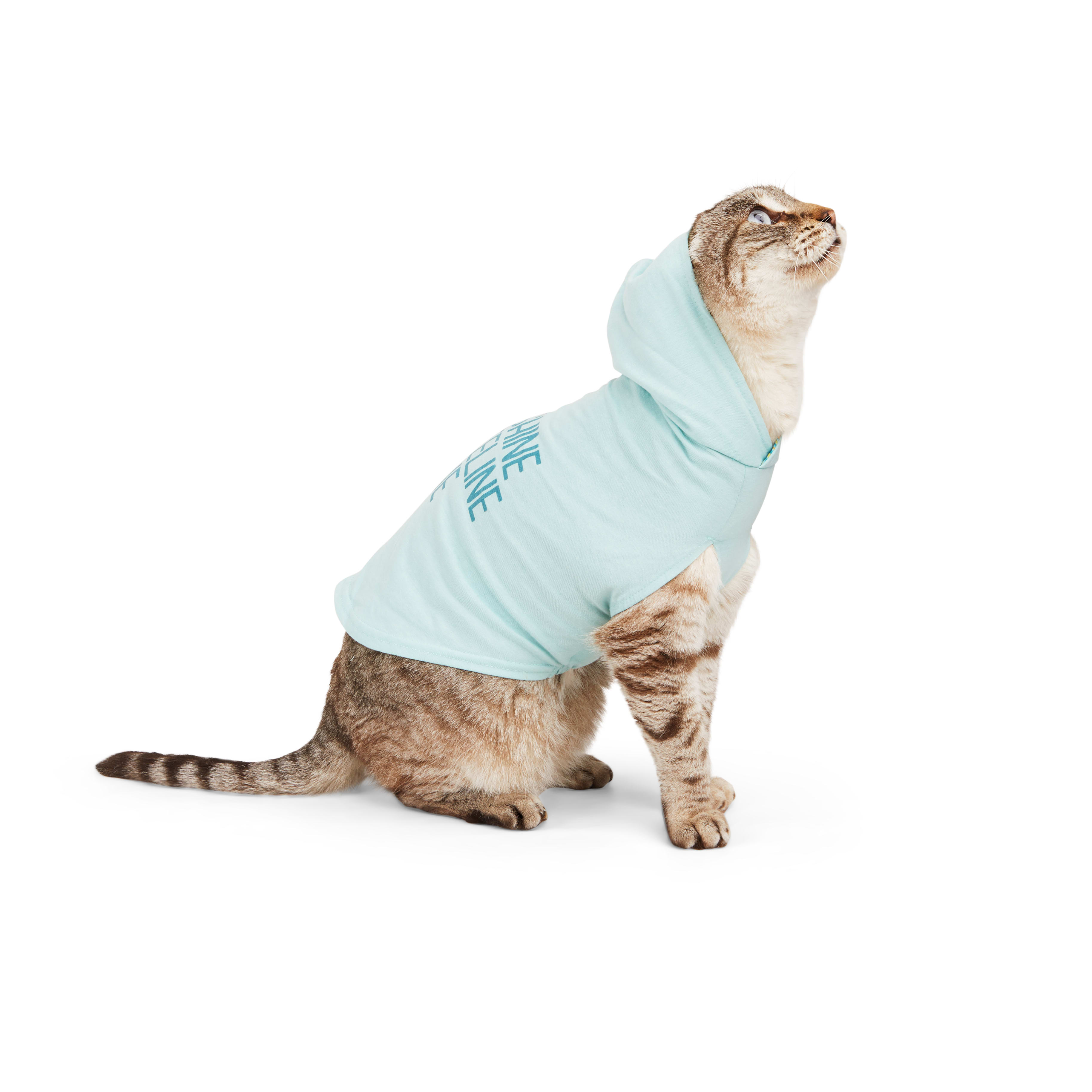 YOULY Cat Sunshine Hoodie， Small/Medium