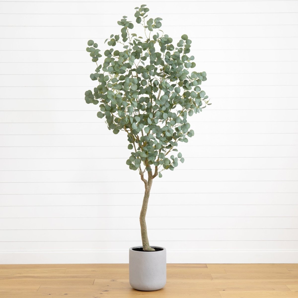 7.5' Faux Eucalyptus Tree | Realistic Indoor Greenery – Ed's Plant Shop