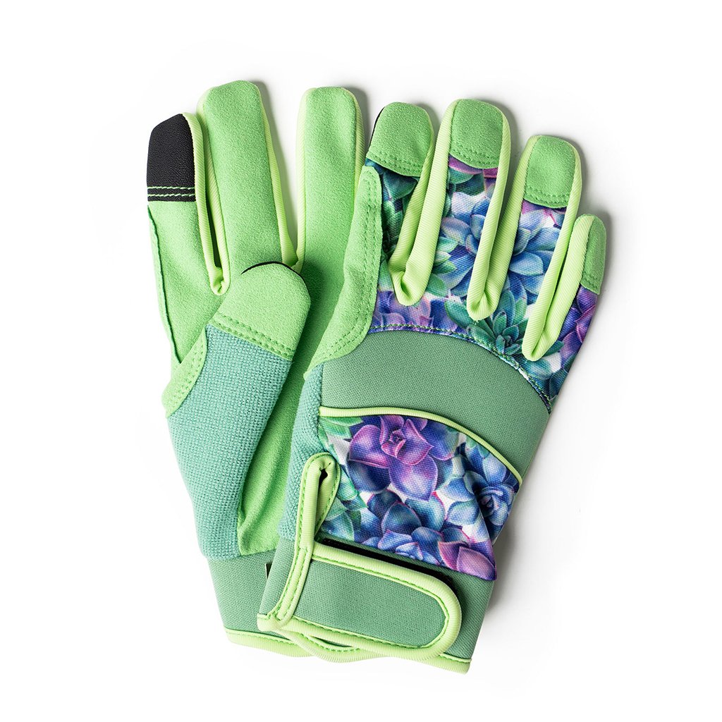 DM Merchandising  Seed & Sprout Gardening Gloves in Simply Succulent