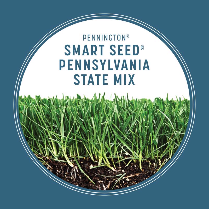 SMARTSEED PENN MIX 3#