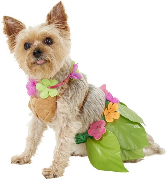 Rubie's Costume Company Hula Girl Dog and Cat Costume