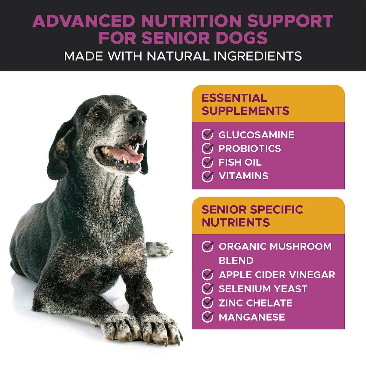 PetHonesty Duck Flavored Soft Chews Multivitamin for Senior Dogs