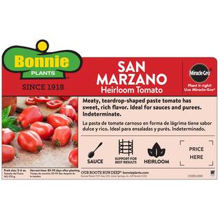 Bonnie Plants 19 oz. San Marzano Tomato Plant 0247