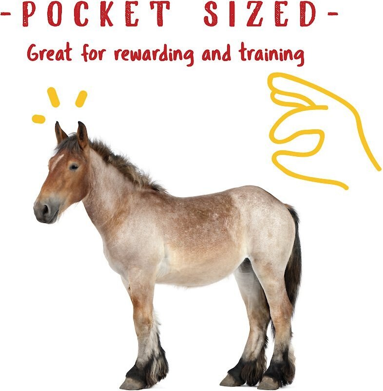 Manna Pro Bite-Size Nuggets Apple Flavored Horse Training Treats