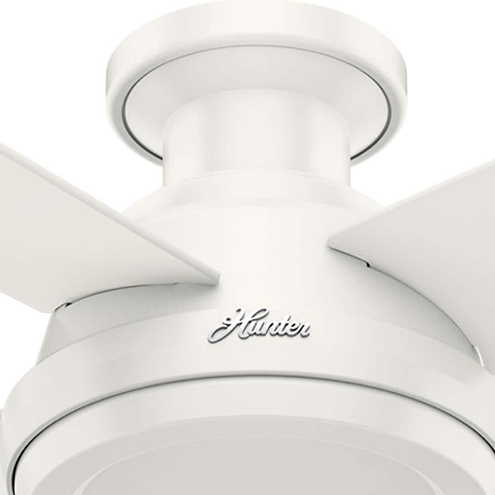 Hunter Dempsey 52 in Low Profile No Light Indoor Fresh White Ceiling Fan with Remote