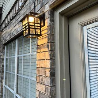 C Cattleya 1-Light Black Dusk to Dawn LED Outdoor Wall Lantern Sconce with Clear Glass Shade CA2108-W