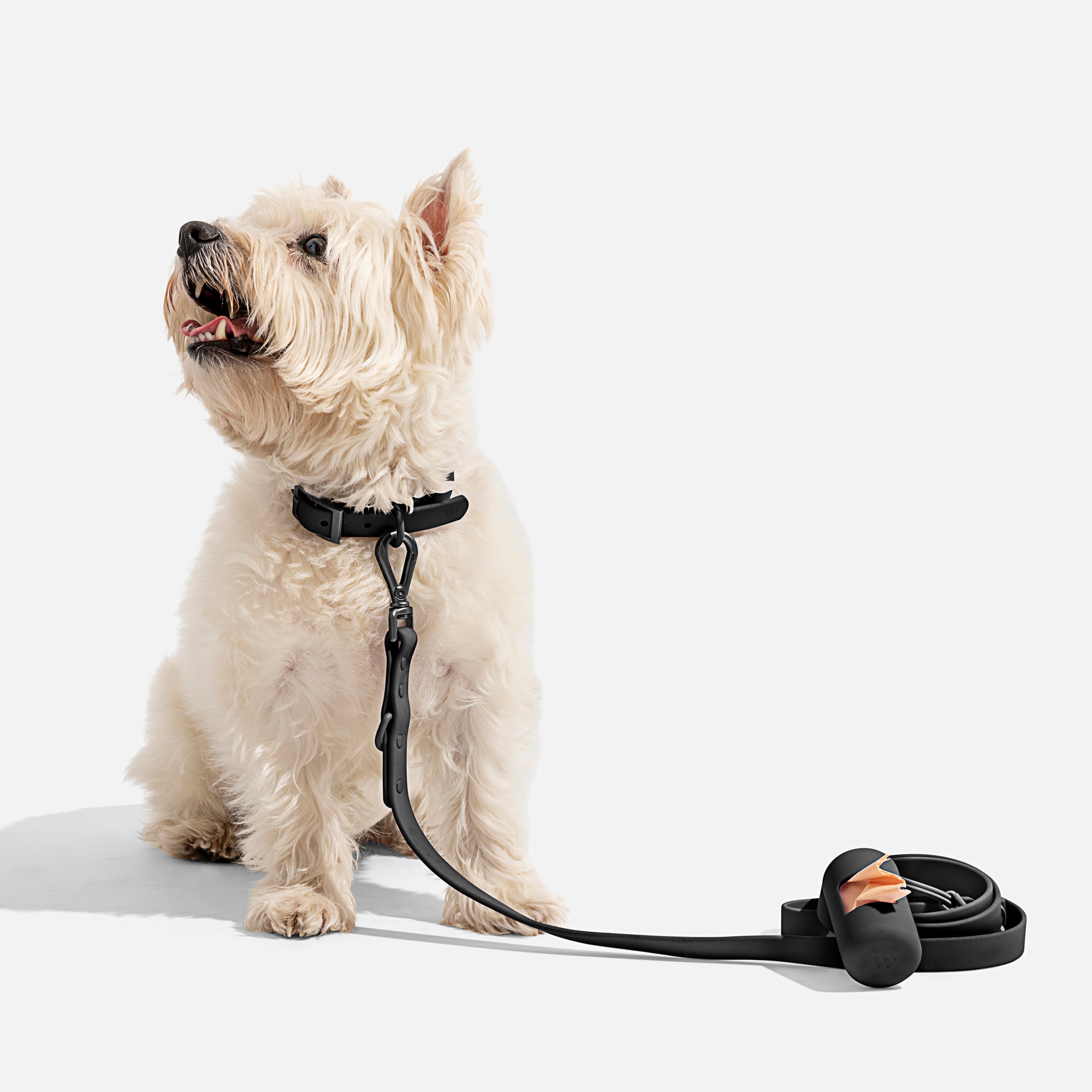 Wild One Black Dog Leash， 66