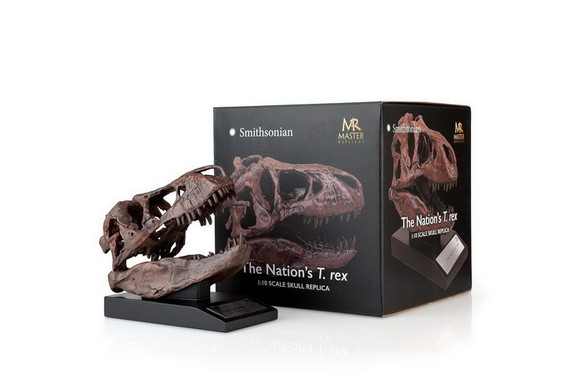 The Nation's T Rex Skull Statue  6 Inch Smithsonia...