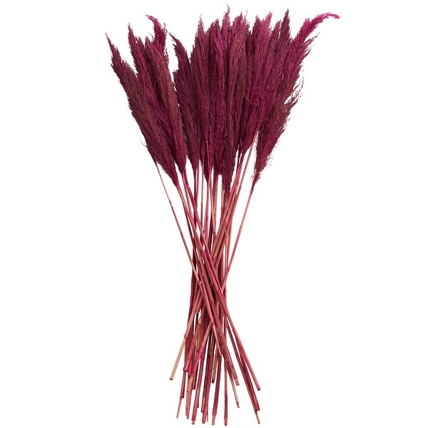 Pink Dried Plant Pampas Home Decor Natural Foliage with Long Stems