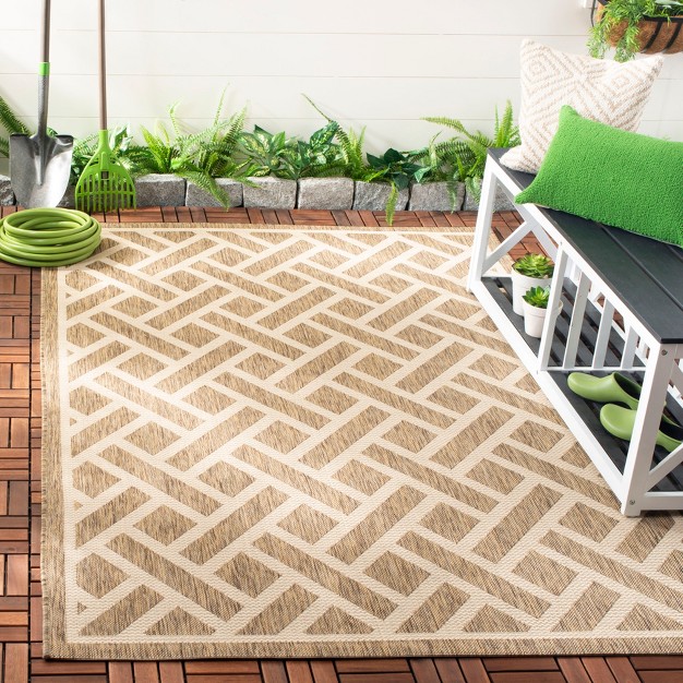 Courtyard Cy6306 Power Loomed Indoor outdoor Area Rug Safavieh