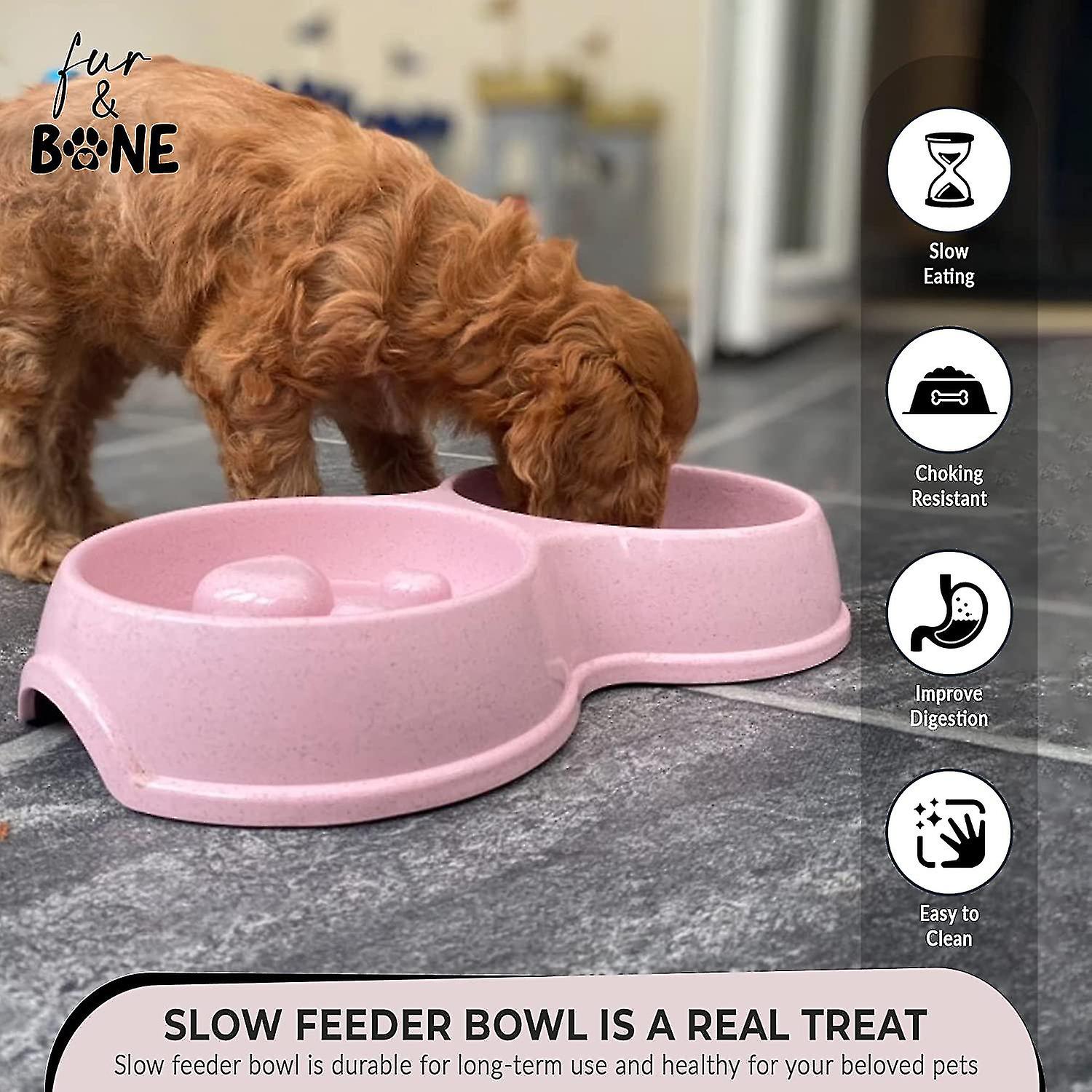 Double Feeder Slow Feeder Interactive Feeder Stainless Steel Non-slip Pink