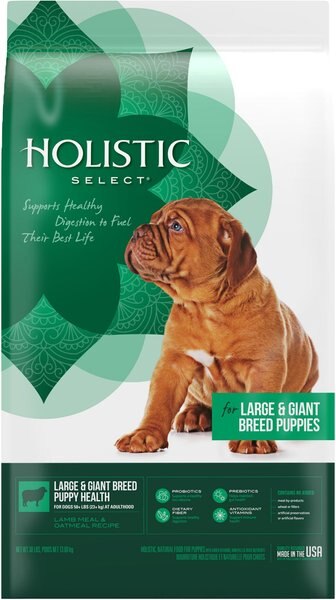 Holistic Select Large and Giant Breed Puppy Health Lamb Meal and Oatmeal Recipe Dry Dog Food