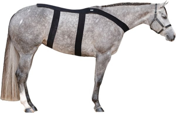 Ice Horse Back Horse Blanket