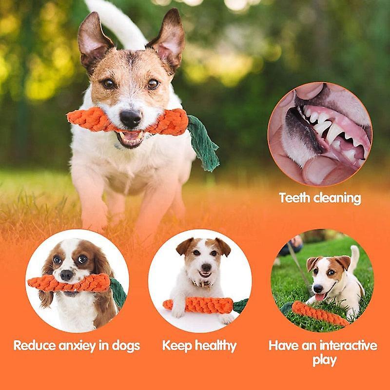 Cotton carrot shaped dog rope toy