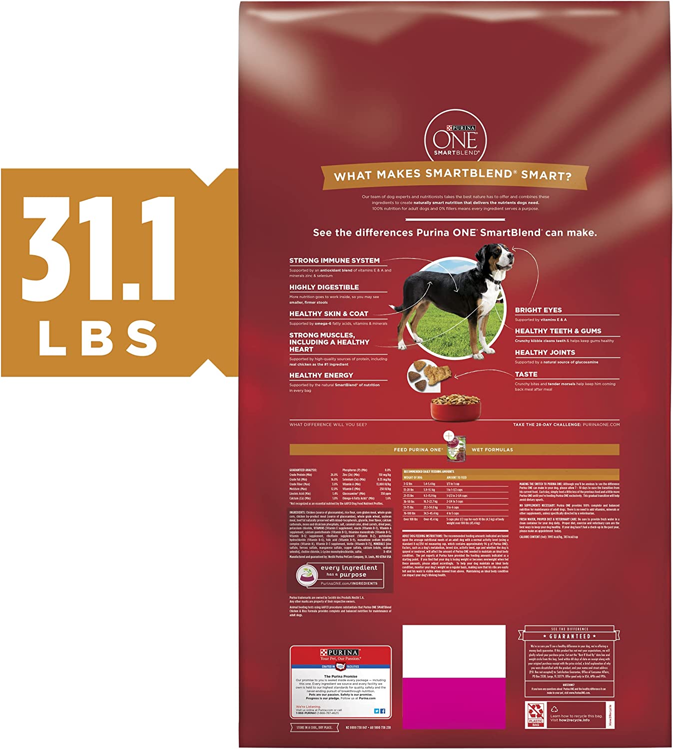 Purina ONE Natural Dry Dog Food SmartBlend Chicken and Rice Formula - 31.1 lb. Bag