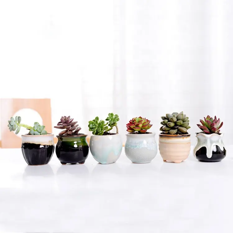 Multi Colors Creative Tabletop Decor Macetas Succulent Plants Garden Paintable Ceramic Balcony Gardening Bonsai Small Flower Pot