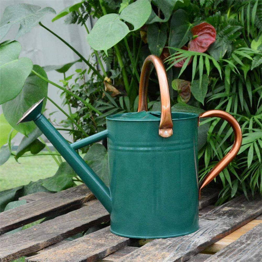 Dyiom 1 gal. Outdoor Steel Watering Can Sliver Galvanized Steel Green Watering Can with Copper Accents B07VX1RZZL