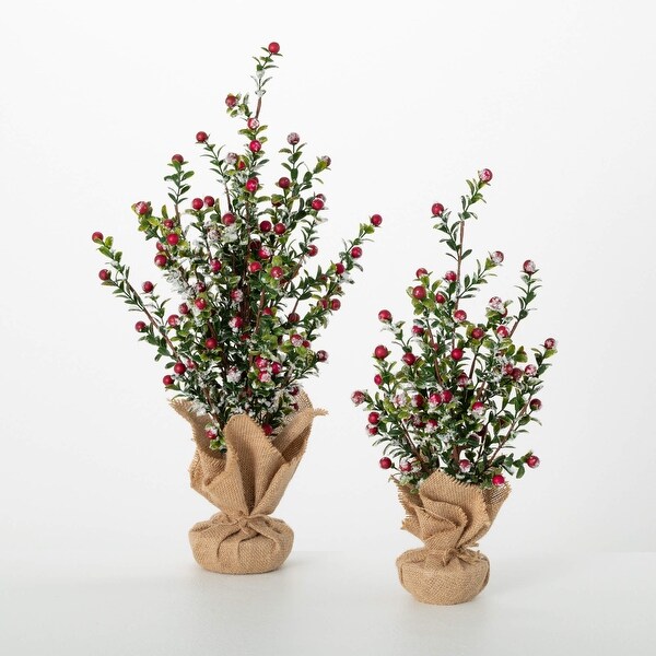 20H and 16H Sullivans Artificial Christmas Boxwood Berry Tree Set of 2，GreenRed