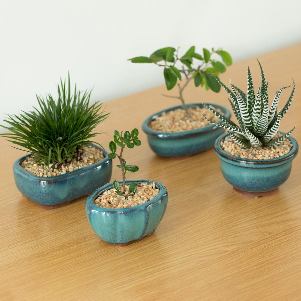 Gardenised Decorative Mini Glazed Ceramic Bonsai Succulent Pots Flower Planter with Drainage Holes， (4-Pack) QI004100