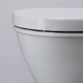 Duravit Darling New 1-Piece 1.28 GPF Single Flush Elongated Toilet in White Seat Not Included 2123010005