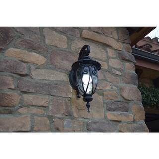 Hailee 1-Light Matte Black Outdoor Wall Lantern Sconce EL591SBL