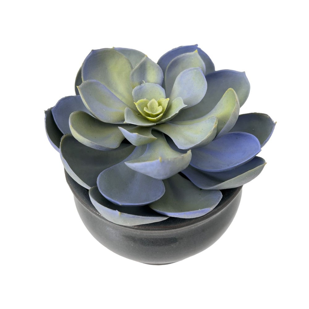 Gorgeous Echeveria in Color of Your Choice - Artificial