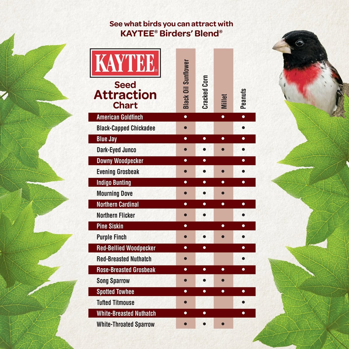 Kaytee Birders Blend Wild Bird Food