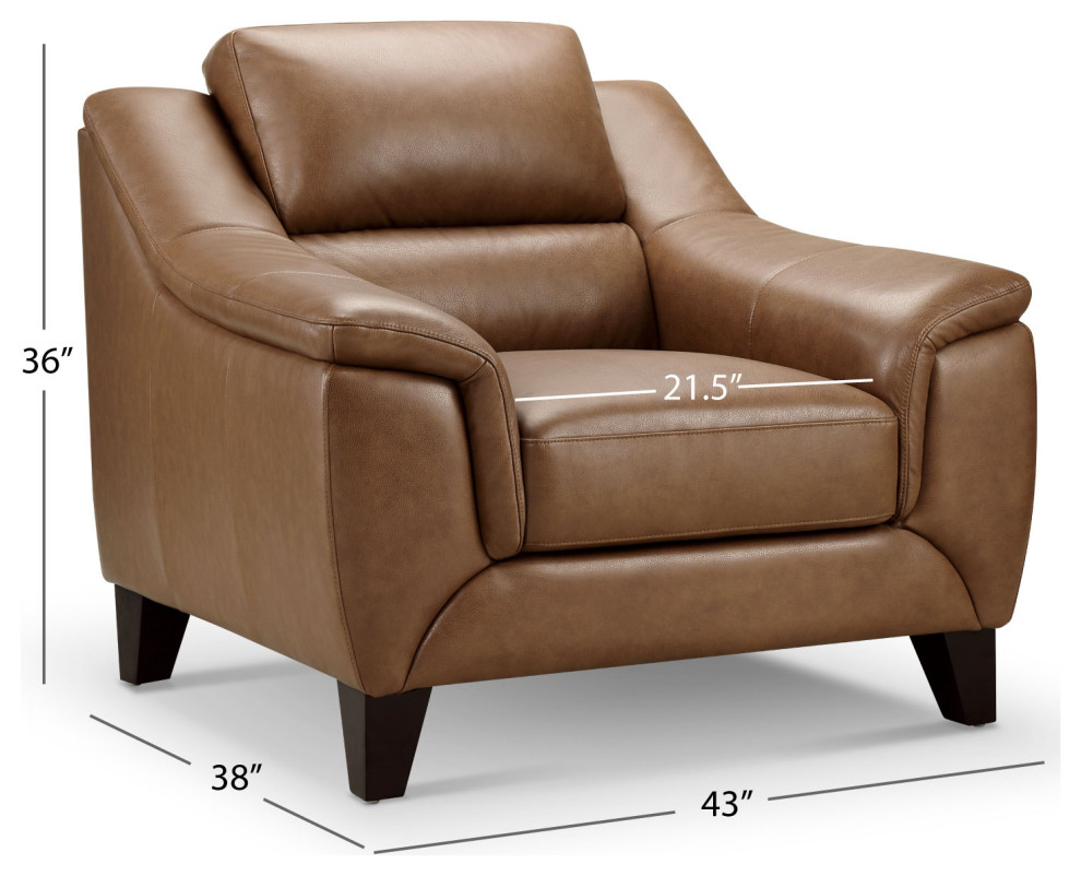 Arlen Leather Chair  Camel   Modern   Armchairs And Accent Chairs   by Abbyson Living  Houzz