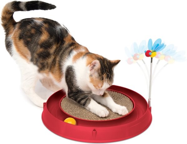 Catit Play Scratch Pad Circuit Ball Cat Toy