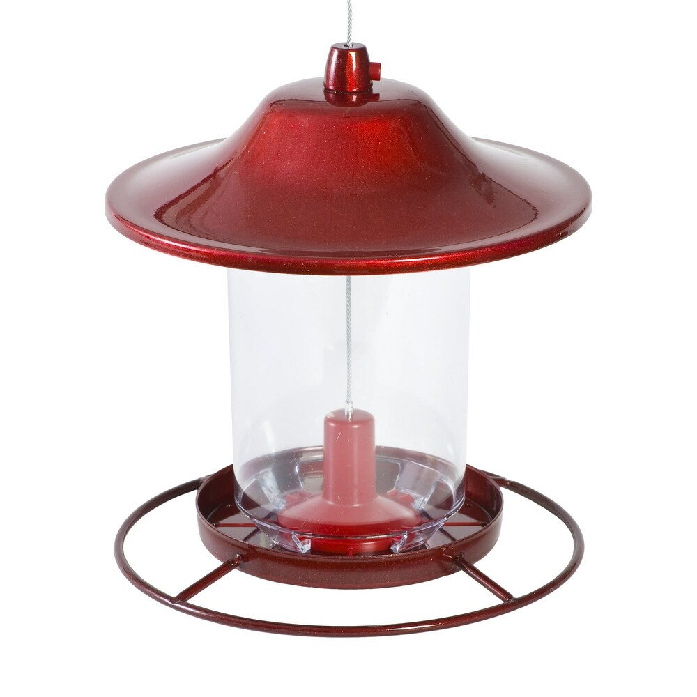 2 lb Small Panorama Wild Bird Feeder