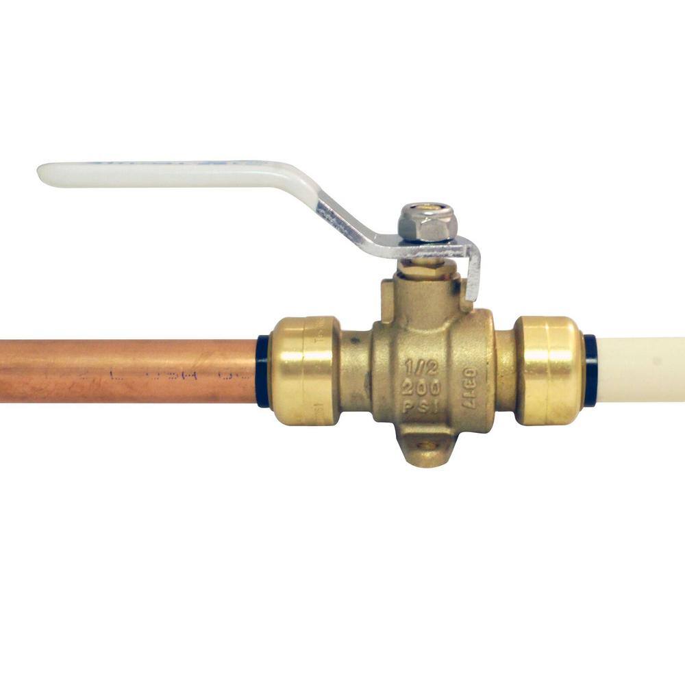 Tectite 12 in. Brass Push Ball Valve with Flange and Drain FSBBV12DE