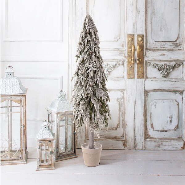 48 Potted Soft Touch Snow Norfolk Pine Tree