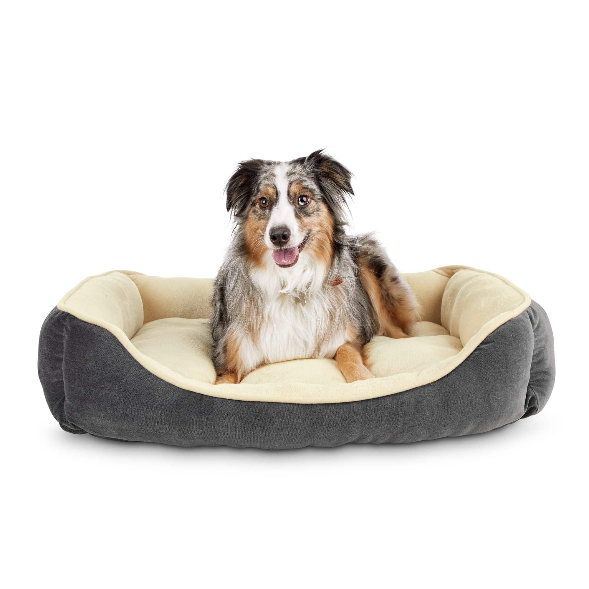 EveryYay Essentials Snooze Fest Rectangle Nester Dog Bed， 32