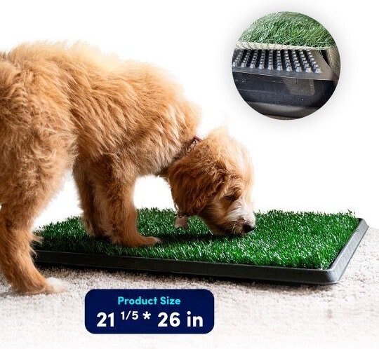 Hygena Scoop Grass Indoor/Outdoor Portable Potty Dog Litter