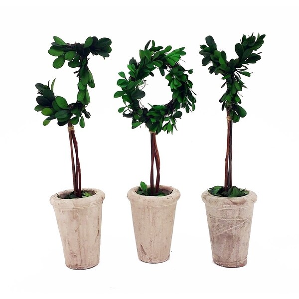 Modern Home 13 Real Preserved Boxwood Monogram Letters w/Terra Cotta Pot