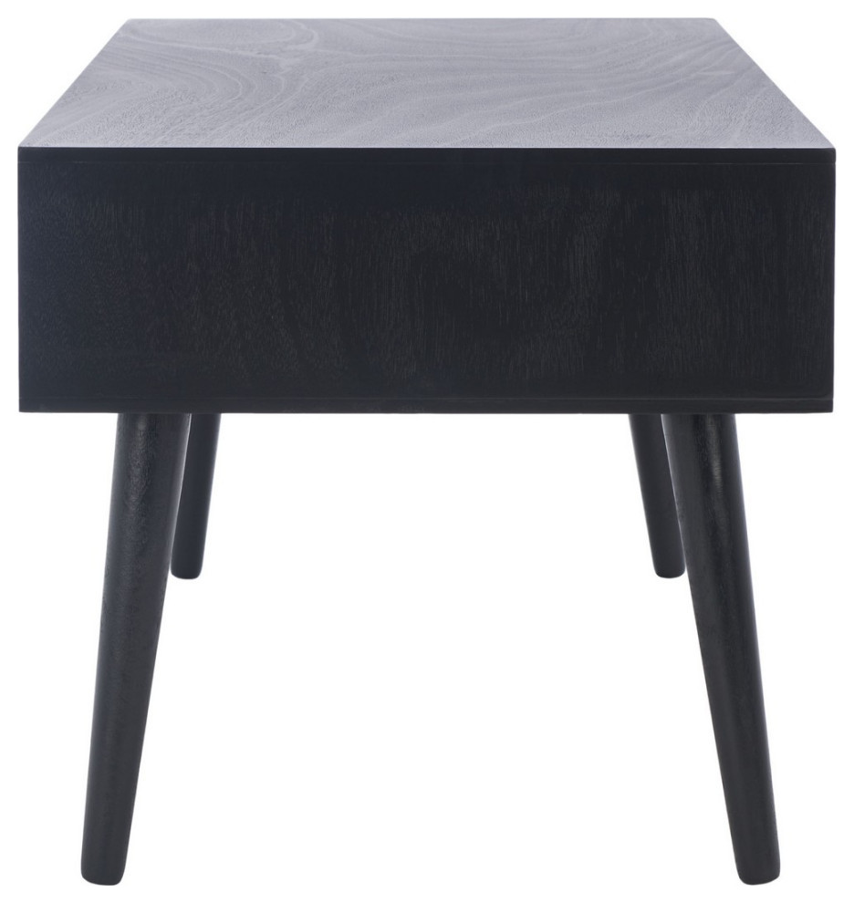 Leaf Mid Century 2 Drawer Coffee Table Black   Midcentury   Coffee Tables   by AED Luxury Home Decor  Houzz