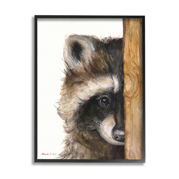 Stupell Industries Raccoon Detailed Fur Illustration Framed Giclee Art