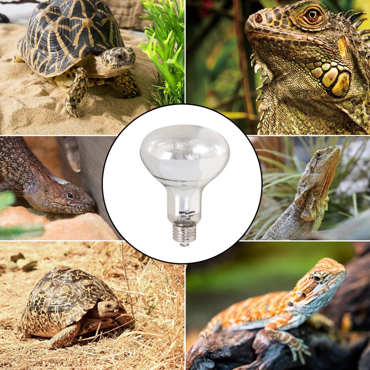 REPTI ZOO 100W Sun Basking Reptile Terrarium Lamp