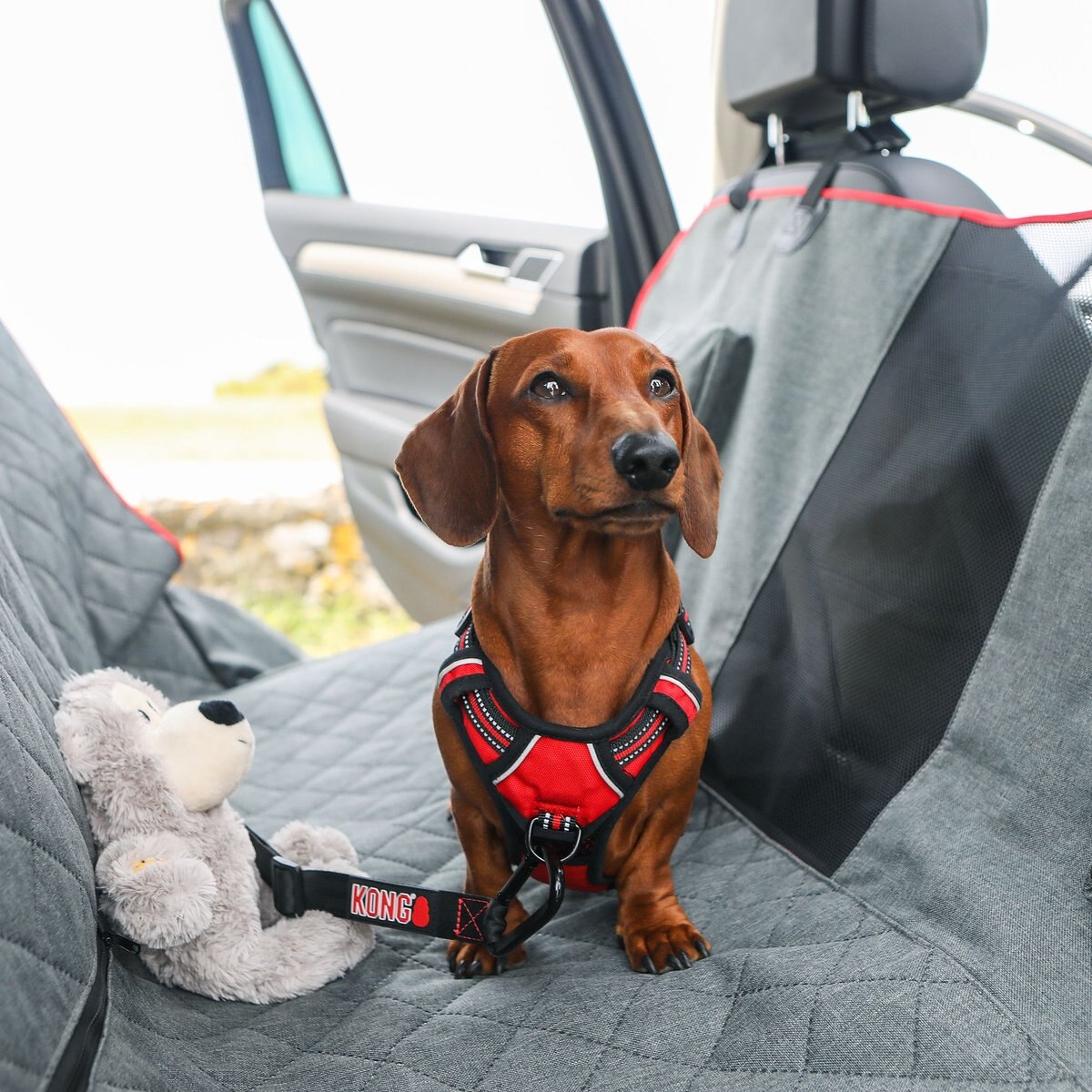 KONG 2-In-1 Bench and American Truck Seat Cover and Hammock， Grey and Red， X-Large