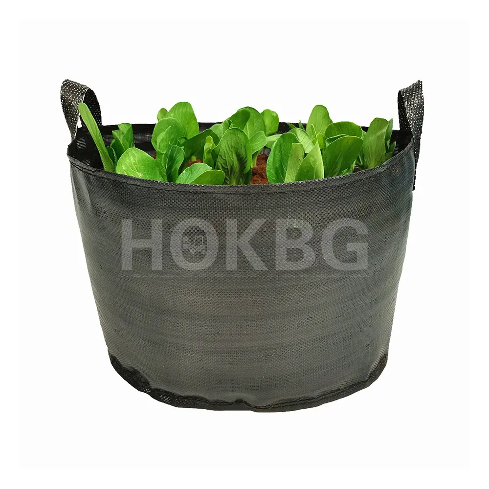 HOKBG Hot sale high quality tree planting plastic bags plastic grow bags planting cheap garden supplies