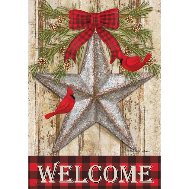 Briarwood Lane Festive Barnstar Winter Garden Flag Primitive Welc