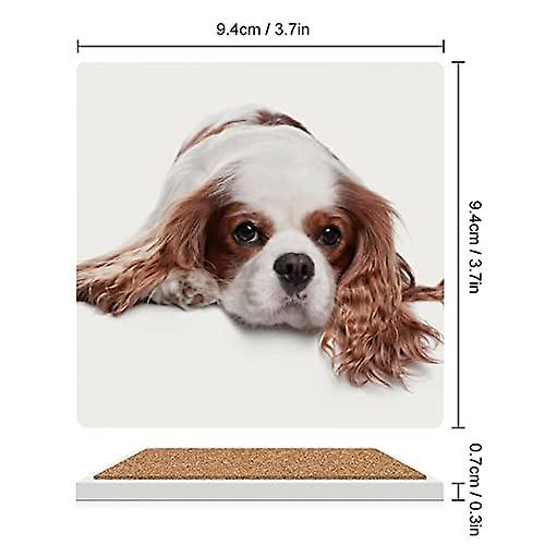 Colourlife Square Drink Coasters 2 Pcs Sad Spaniel Lying On White Absorbent Ceramic Coffee Coasters For Drinks With Cork Base Housewarming Gift For Ho