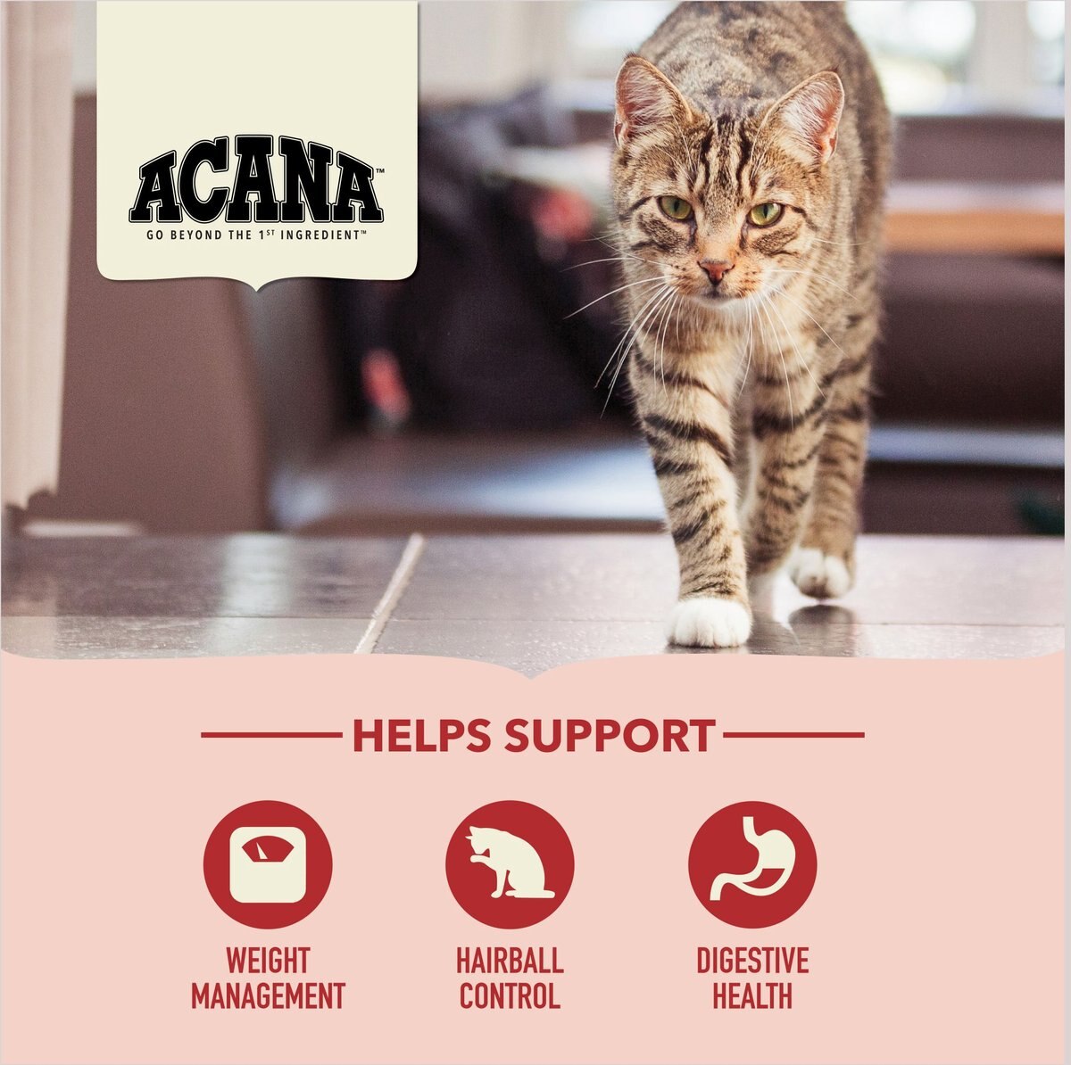 ACANA Indoor Entrée Adult Dry Cat Food