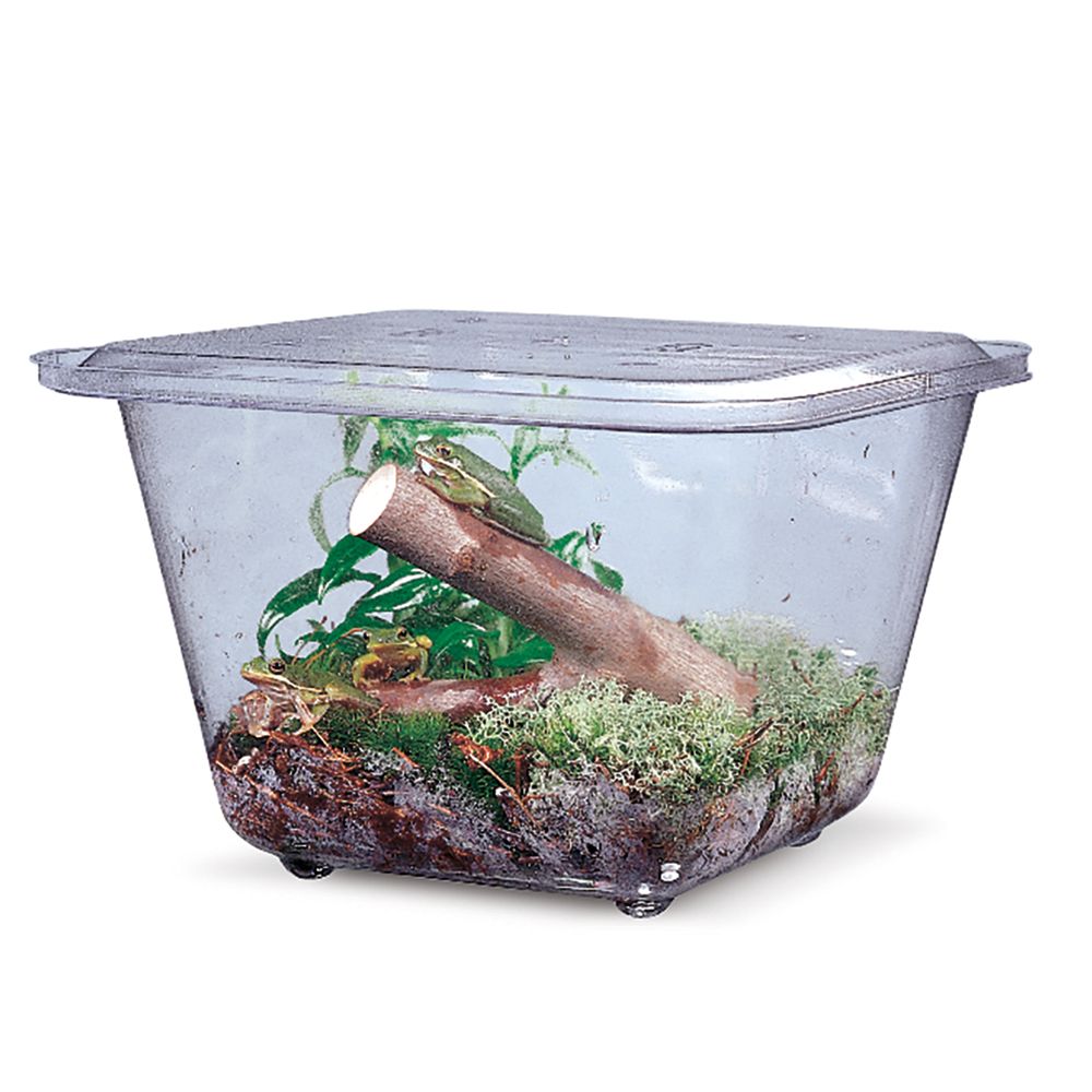 Aquarium/Terrarium， Plastic， 1 Gal