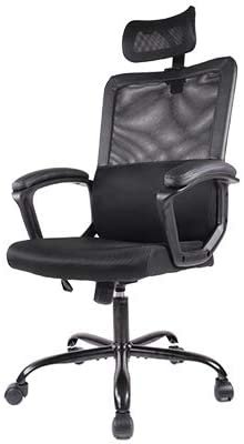 SmugDesk Ergonomic Adjustable High Back Office Chair (black)