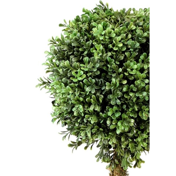 Boxwood Wreath Ball Topiary in Urn 33