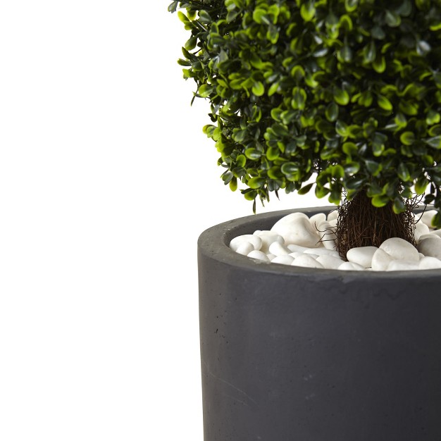 Boxwood Topiary With Gray Cylindrical Planter Nearly Natural