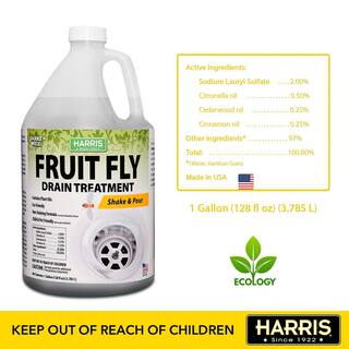 Harris 128 oz. Fruit Fly Drain Treatment Killer FFDG-128