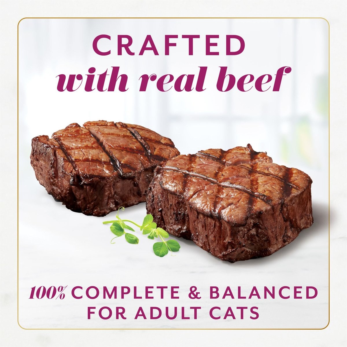 Fancy Feast Gems Mousse Beef and a Halo of Savory Gravy Pate Wet Cat Food， 4-oz box， case of 8